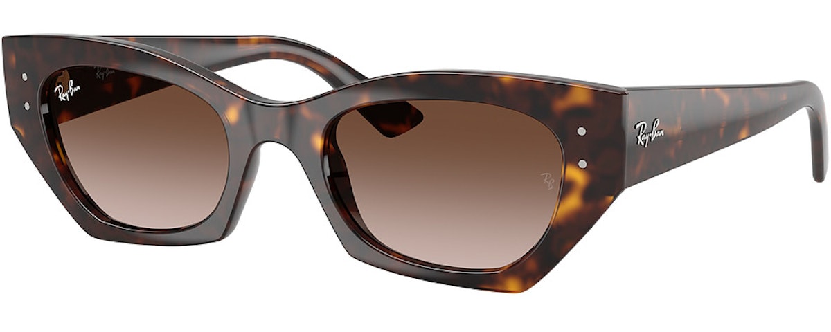 HAVANA / GRADIENT BROWN