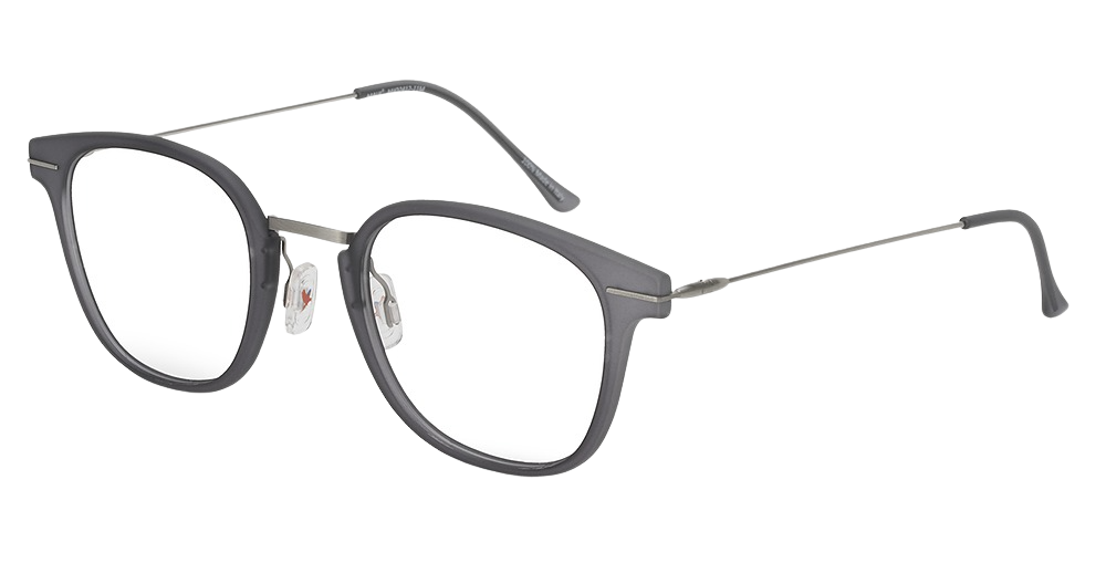 Matte Translucent Grey with Silver Temples