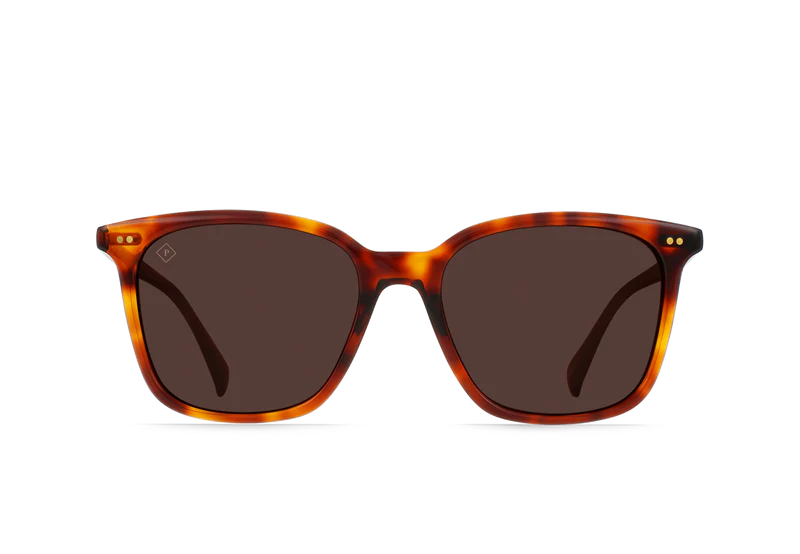 Golden Daze Tortoise / Drift Polarized