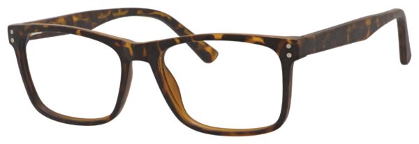 MATT TORTOISE