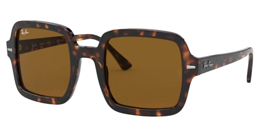 TORTOISE / B-15 BROWN