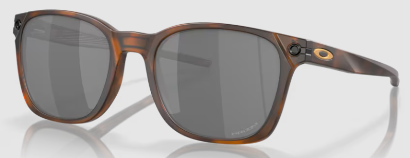 MATTE BROWN TORTOISE / PRIZM BLACK