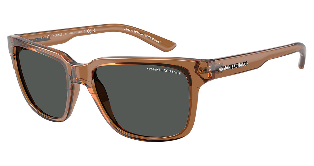 SHINY TRANSPARENT BROWN / DARK GREY