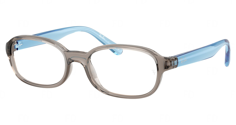 Ray-Ban RY1904 round eyeglasses in Transparent Grey