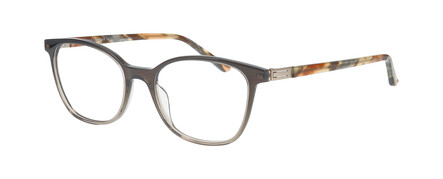 BROWN GRADIENT TRANSPARENT