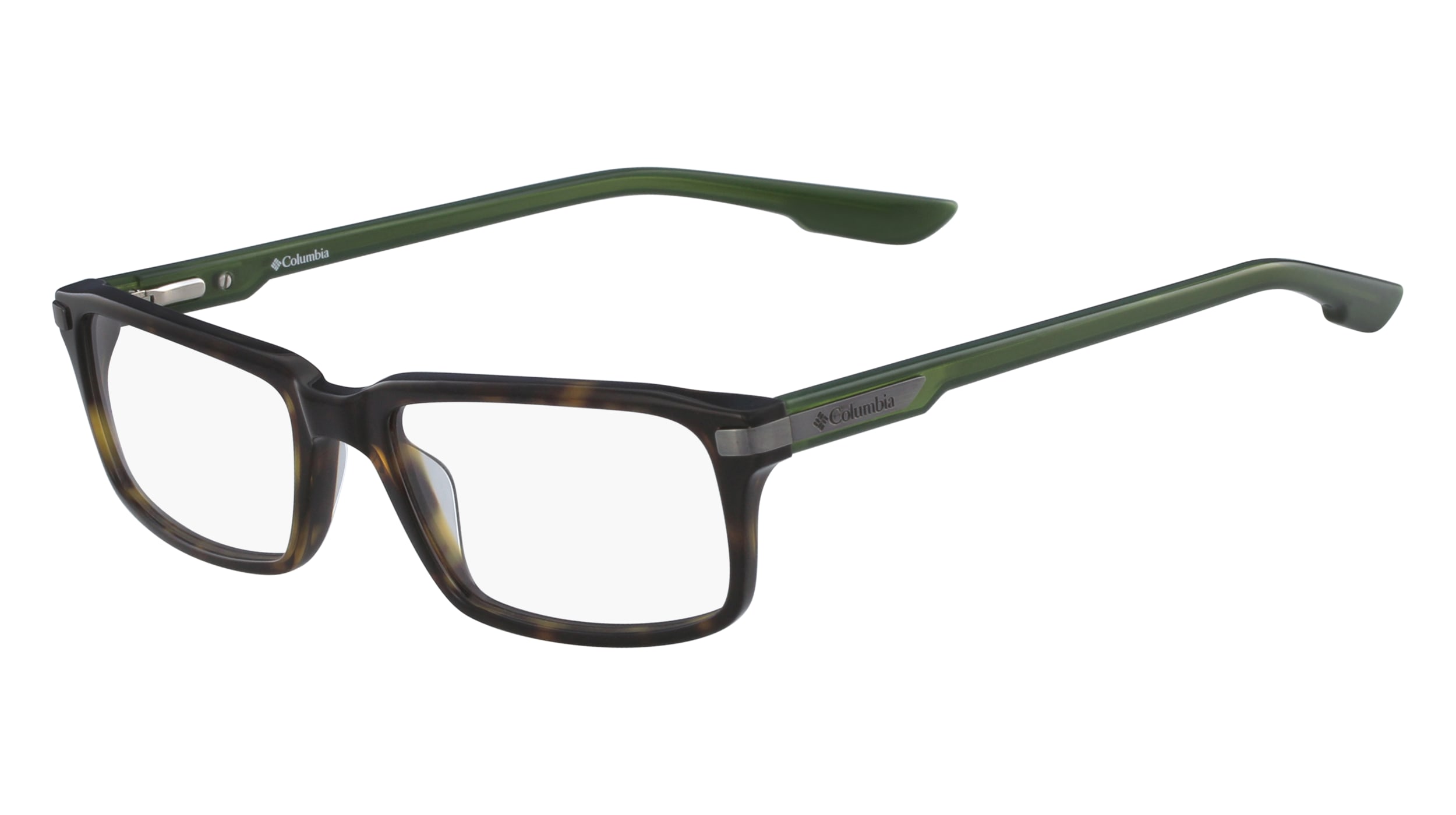 SHINY TORTOISE/OLIVE
