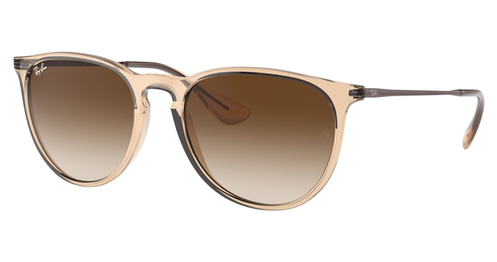 TRANSPARENT LIGHT BROWN / BROWN GRADIENT DARK BROWN