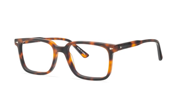 Amber Tortoise