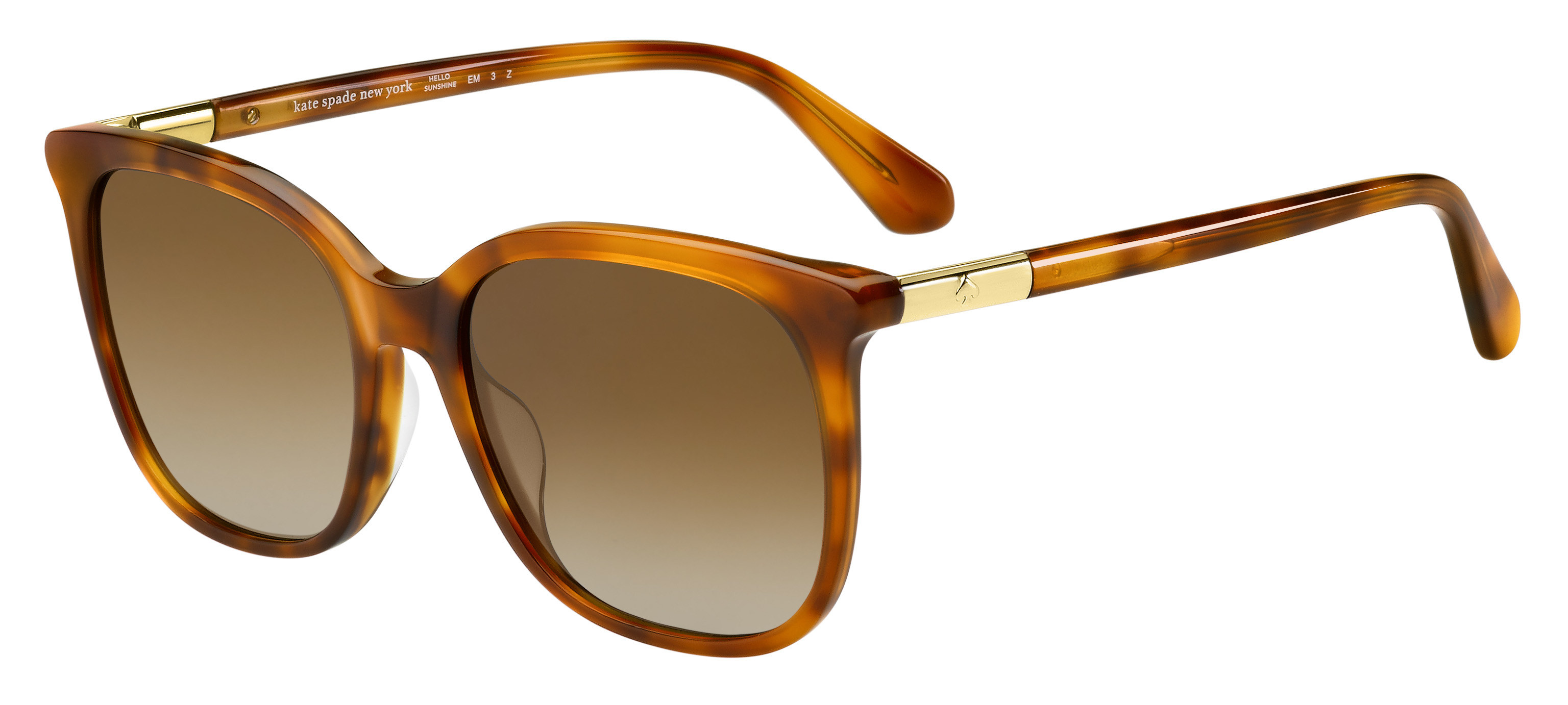 Brown (LA Brown Gradient Polz)