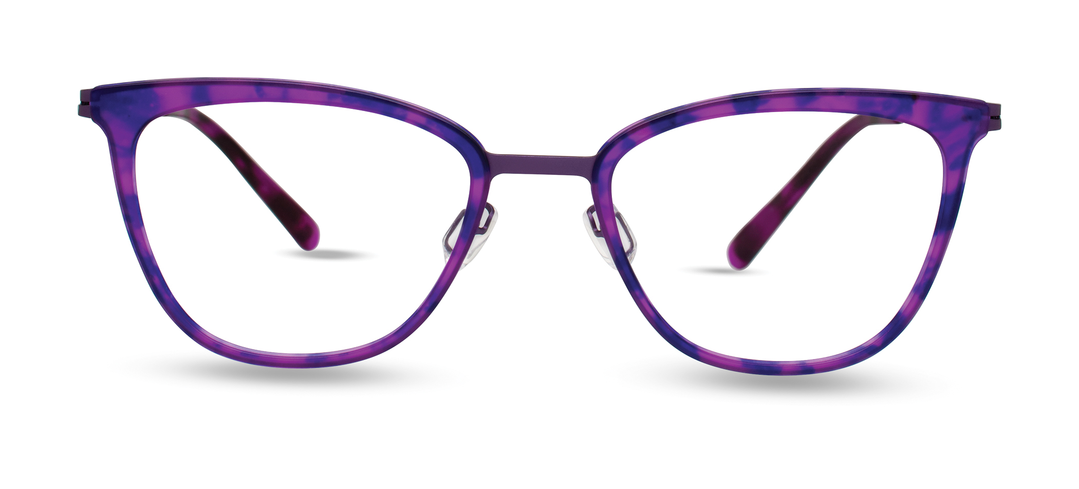 VIOLET TORTOISE