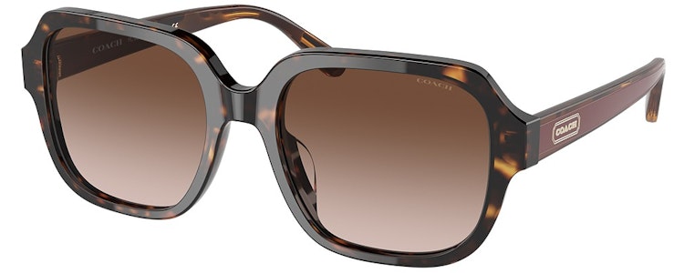 DARK TORTOISE / BROWN GRADIENT