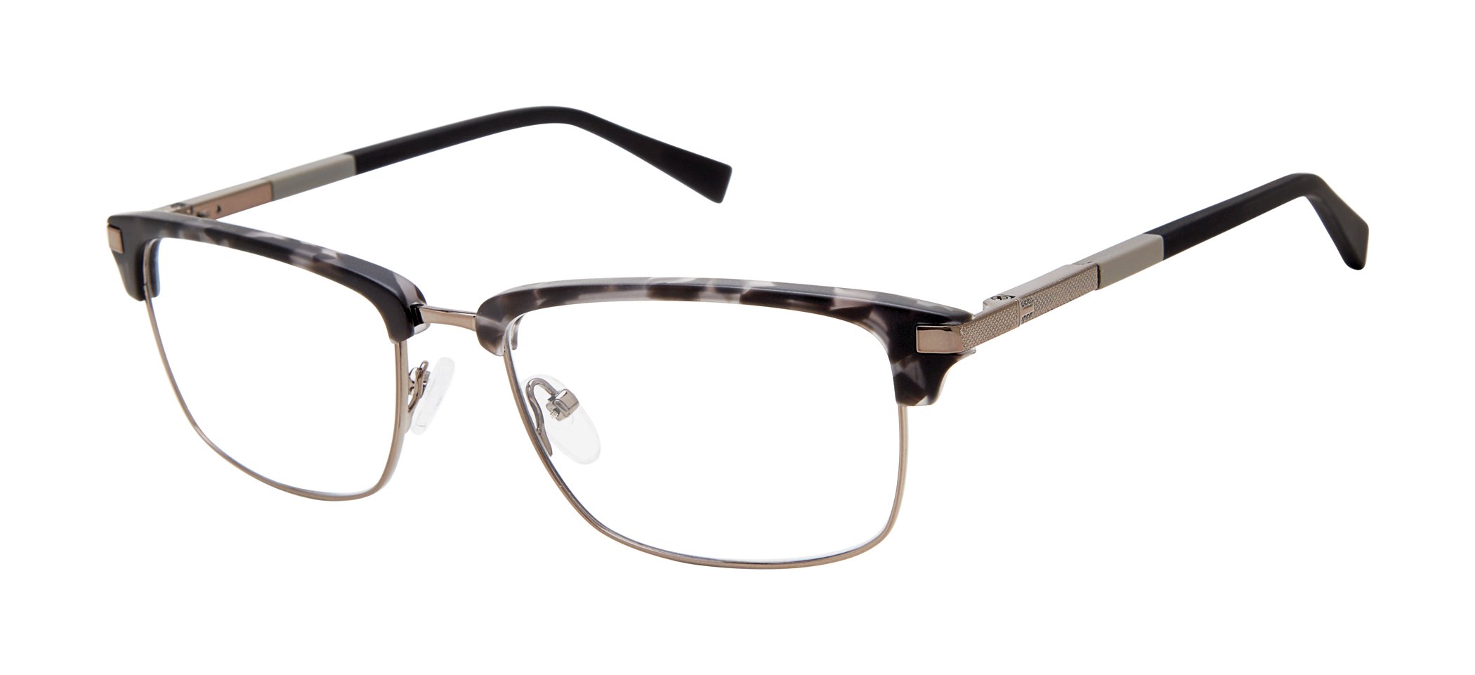 Grey Tortoise