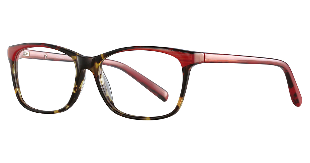 Tortoise/Red