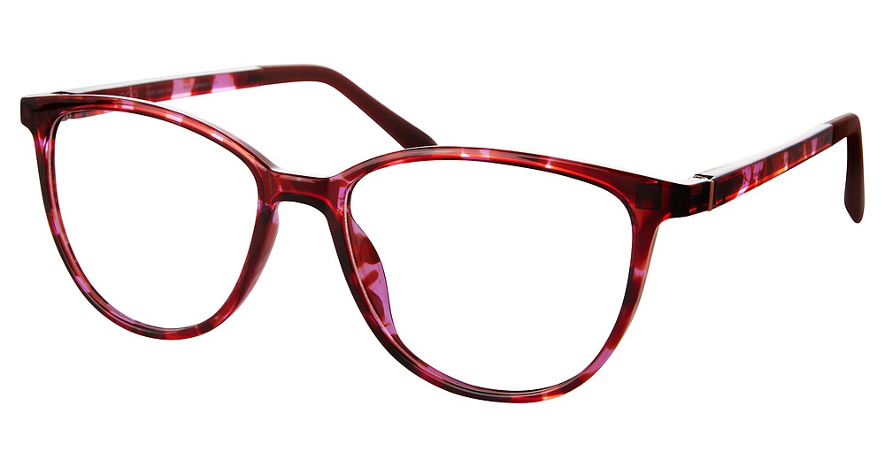 ORANGE PURPLE TORT