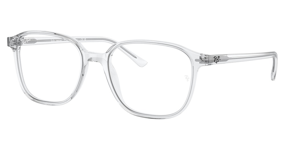 Ray-Ban RB2193 LEONARD round sunglasses in Trasparent/Grey