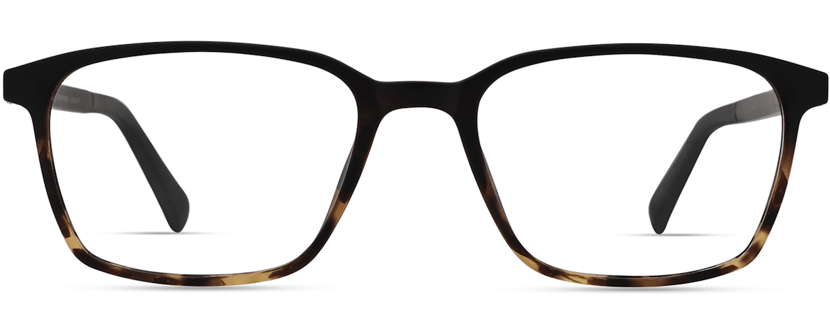 BLACK / TORTOISE GRADIENT