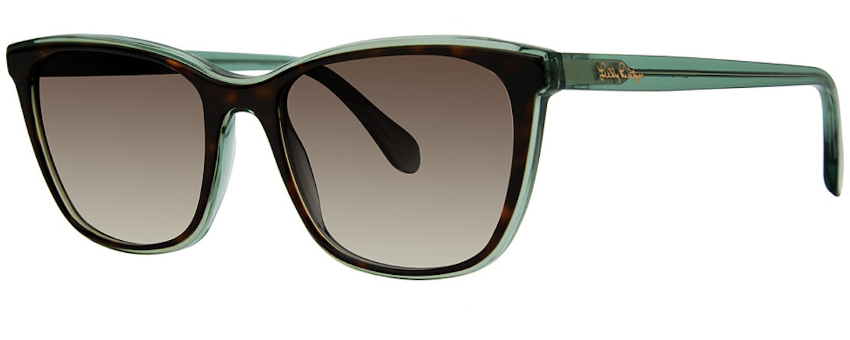 Lime Tortoise