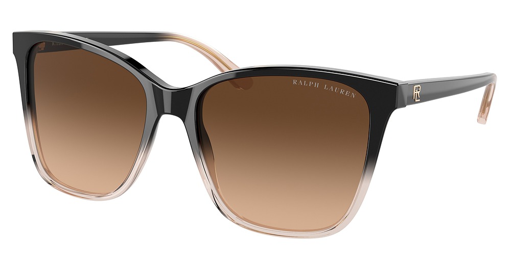 SHINY GRAD BLACK/TRANSP / LIGHT GRAD BROWN