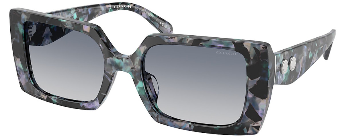 BLUE PEARL TORTOISE / BLUE PURPLE GRADIENT