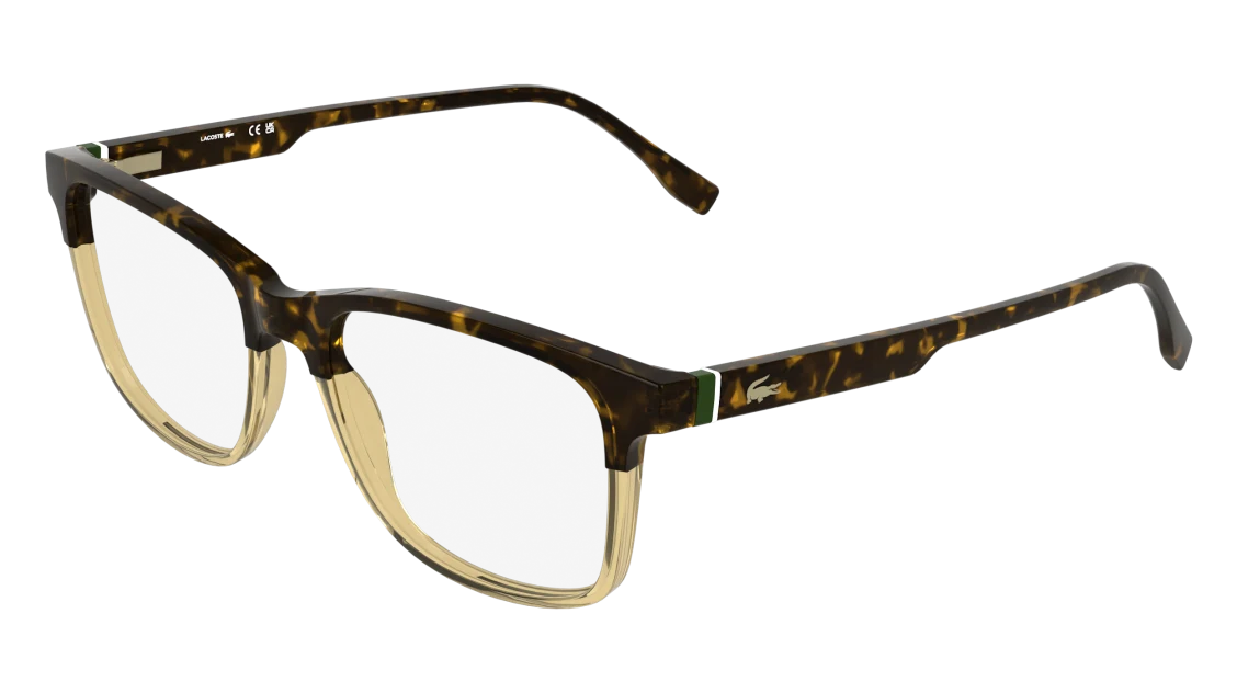 HAVANA/TRANSPARENT CARAMEL