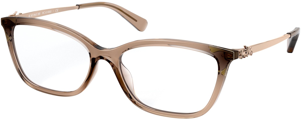TRANSPARENT BROWN