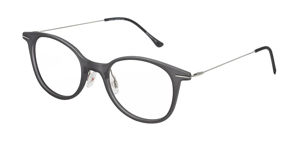 Matte Translucent Grey with Silver Temples