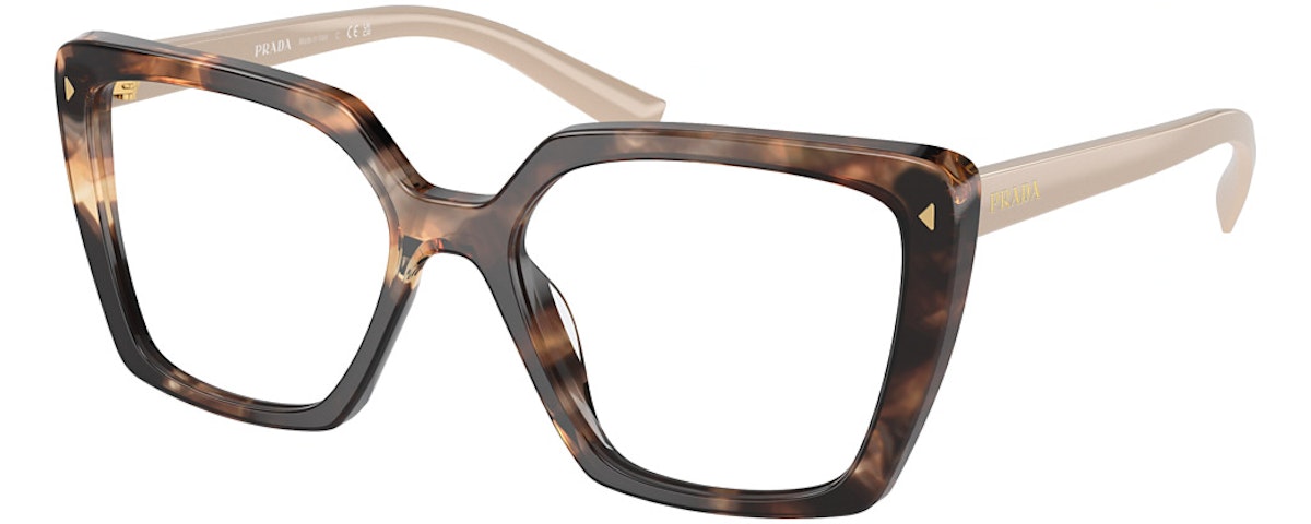 CARAMEL TORTOISE