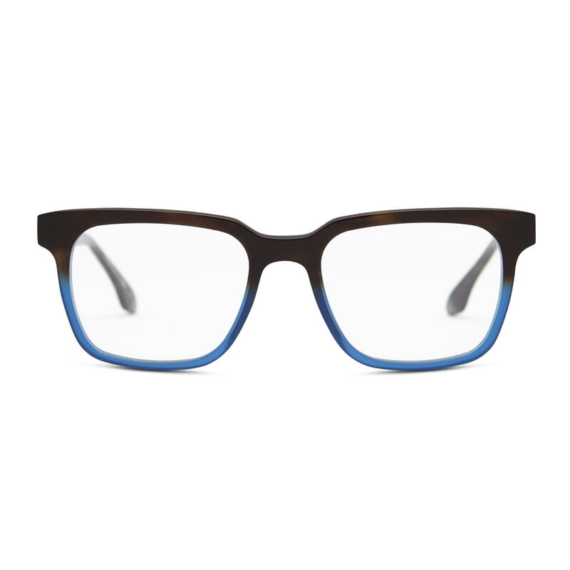 Tortoise Blue