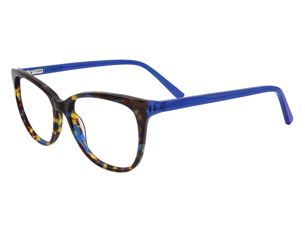 Tortoise/Blue