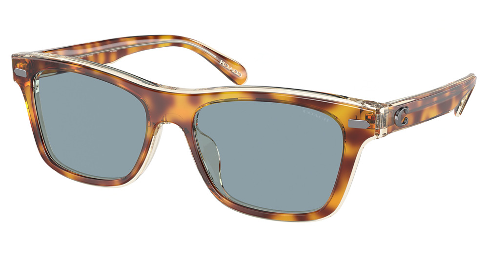 TORTOISE / TRANSPARENT B / LIGHT BLUE SOLID