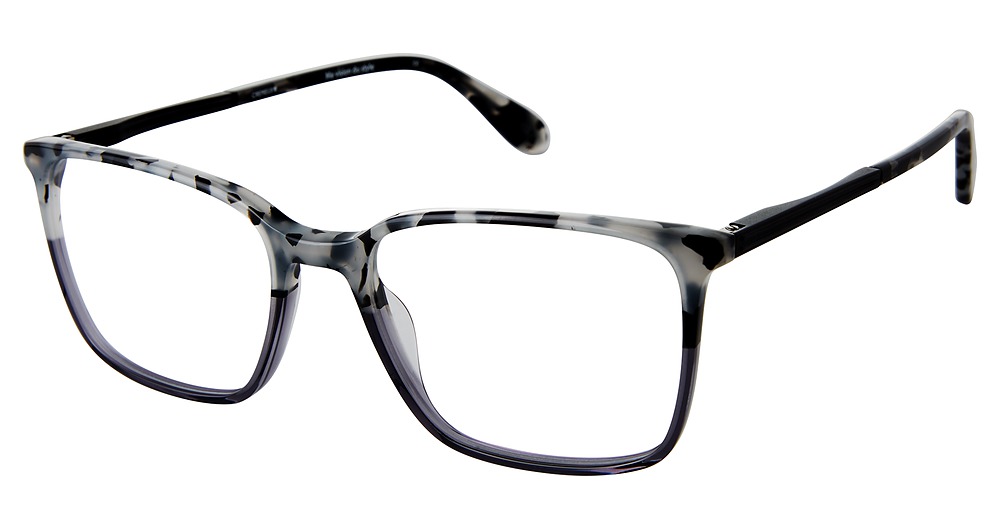 Tort/Grey