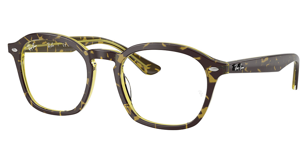 Ray-Ban RX5451F round eyeglasses in Havana on Transparent Grey