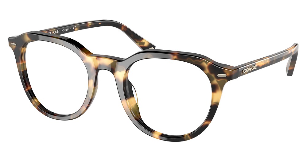 TOKYO TORTOISE