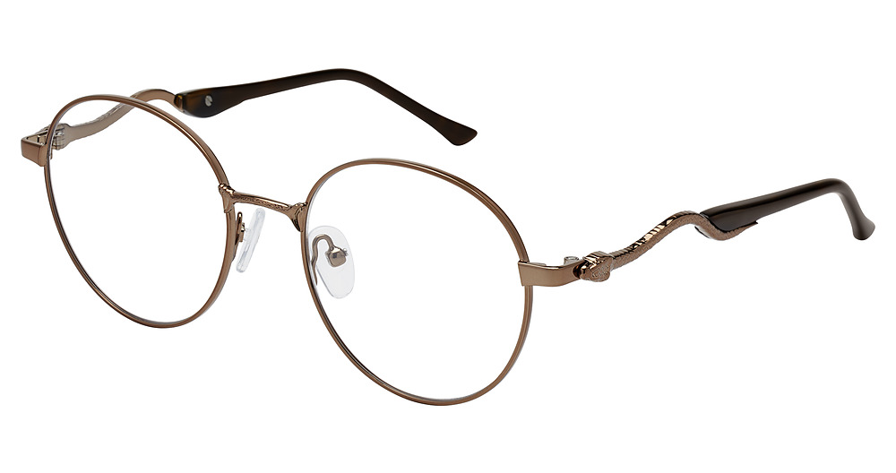 BROWN-TORTOISE