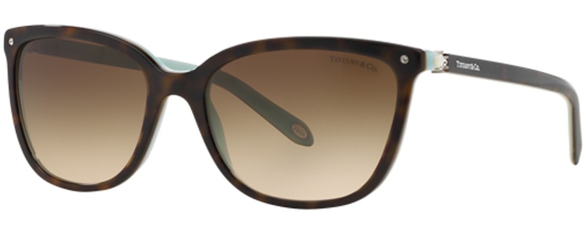 HAVANA ON TIFFANY BLUE / BROWN GRADIENT