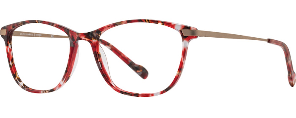 Cherry Tortoise / Gold