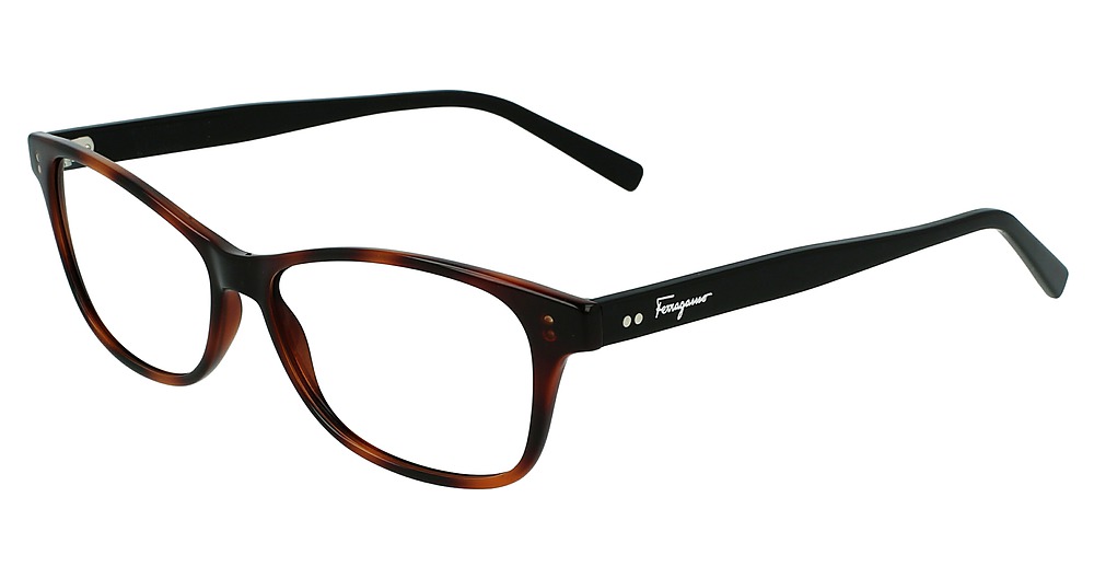 TORTOISE/BLACK