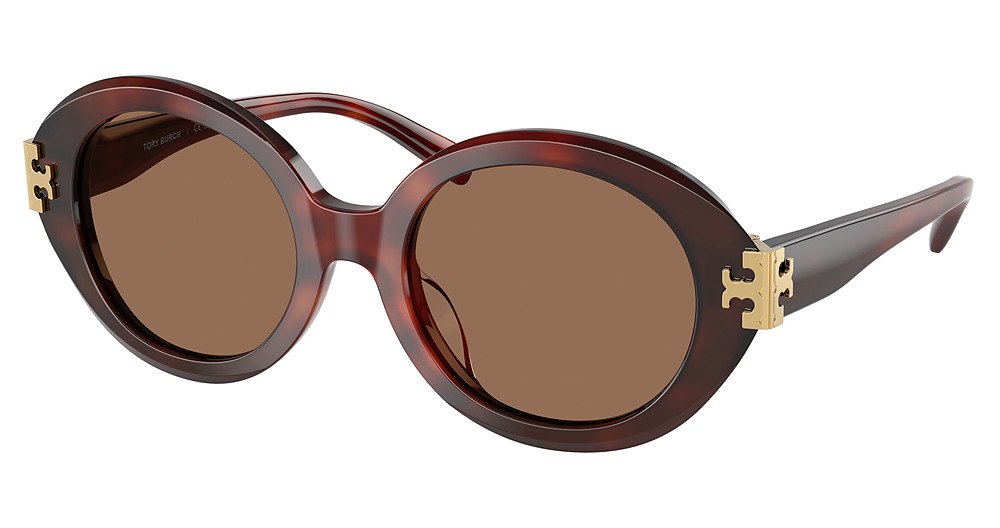 GRADIENT TORTOISE / DARK BROWN