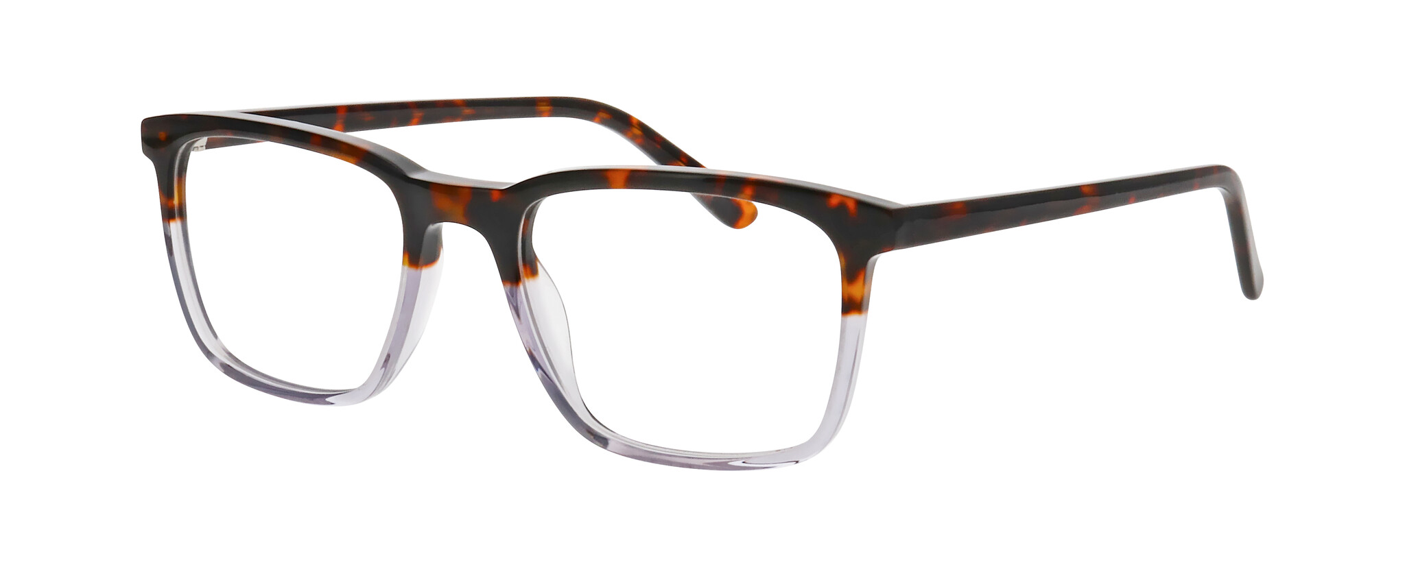 TORTOISE DARK DEMI