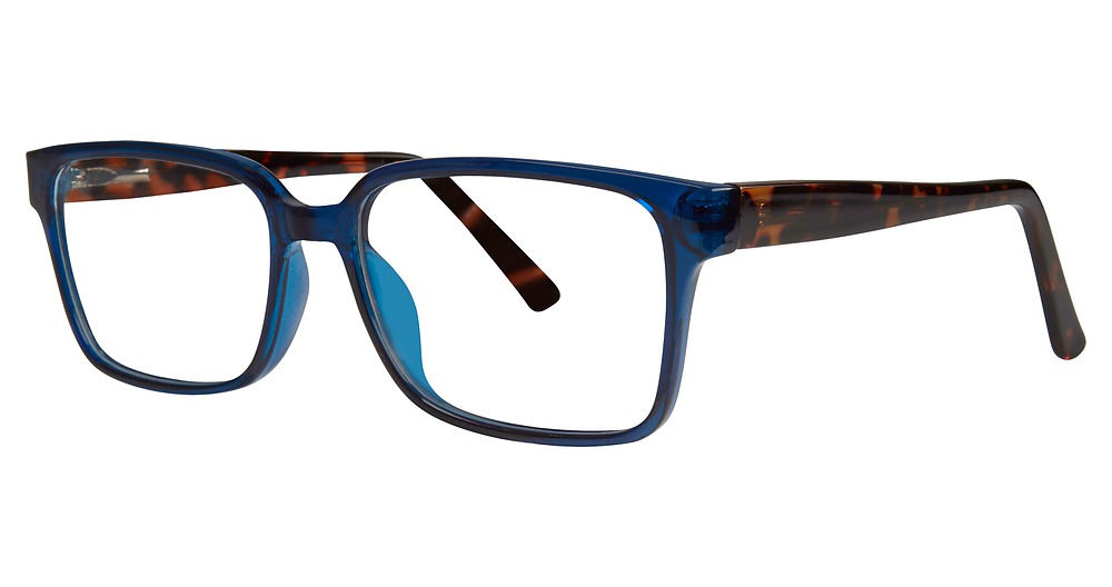 navy/tortoise