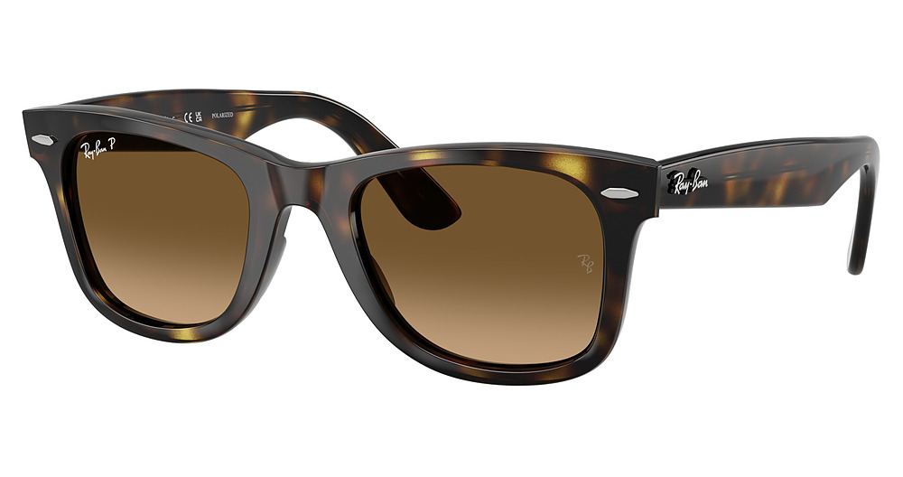 HAVANA / POLAR BROWN GRADIENT