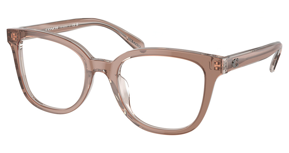 TRANSPARENT BROWN/ GREY