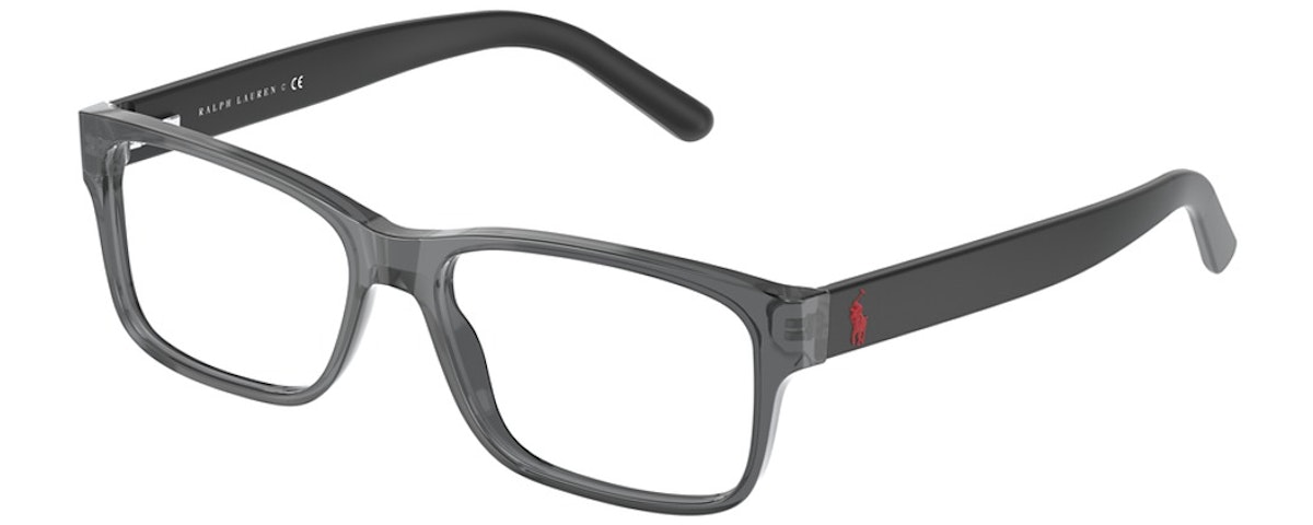 SHINY TRANSPARENT GREY