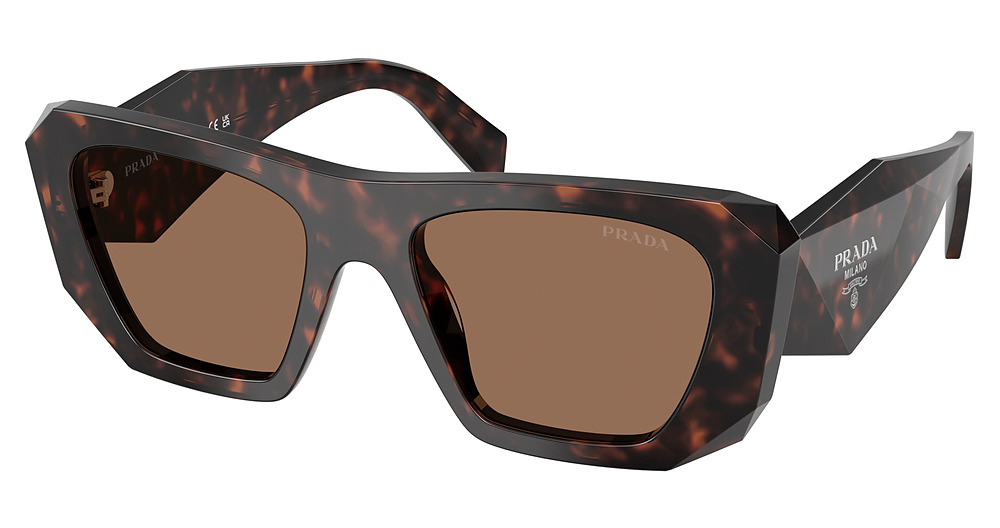 ROOT TORTOISE / DARK BROWN