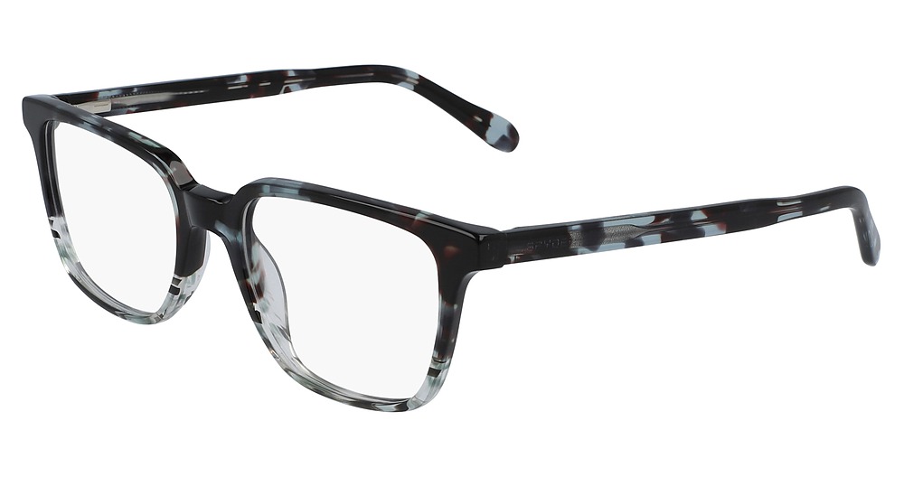 BLACK TORTOISE