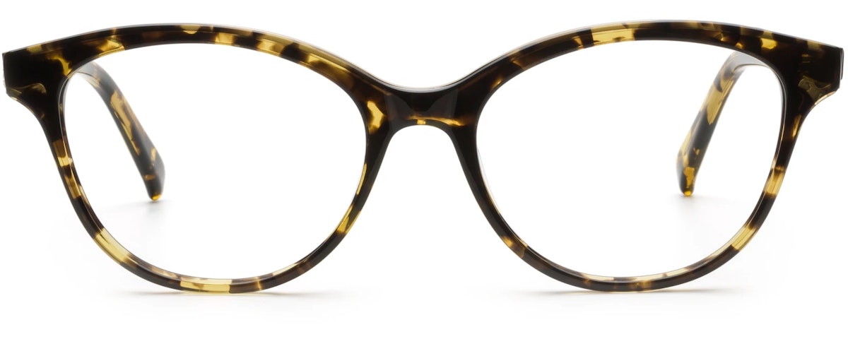 Tokyo Tortoise