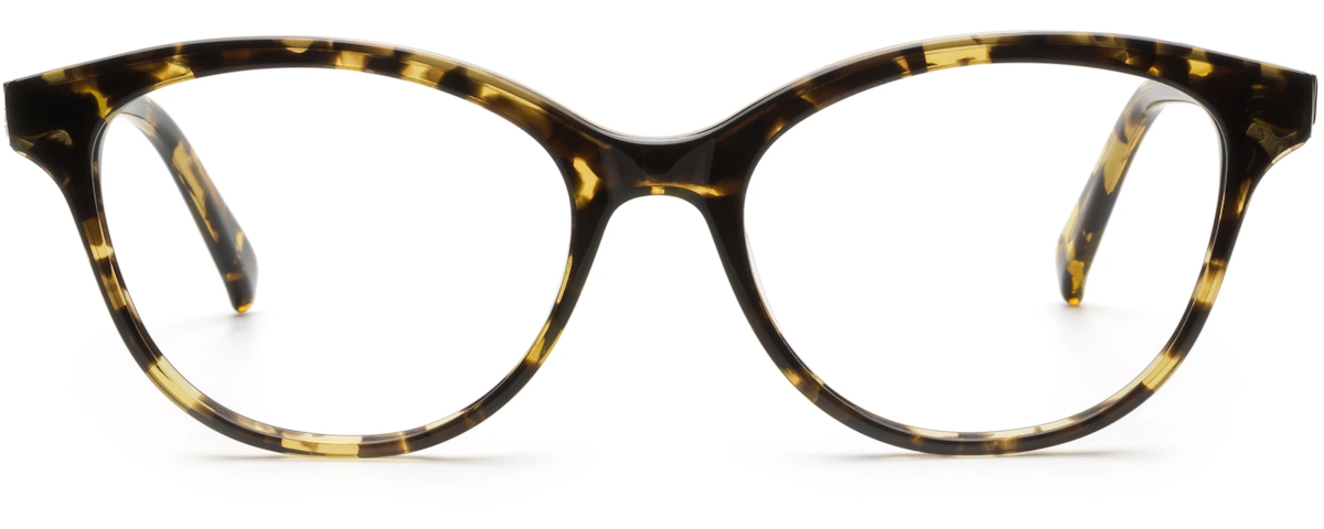 Tokyo Tortoise