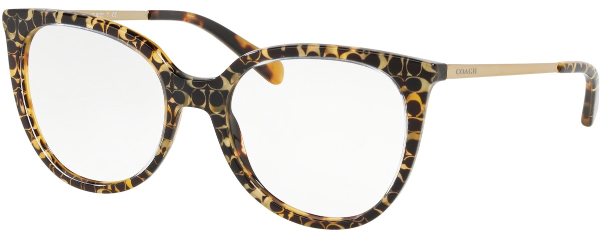 SPOTTY TORTOISE SIGNATURE C