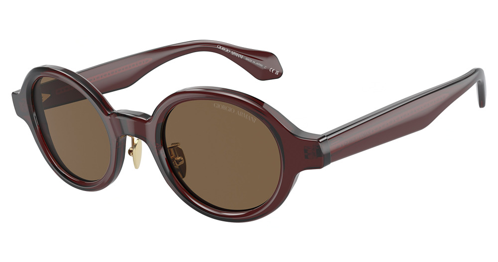 TRASPARENT BROWN / DARK BROWN