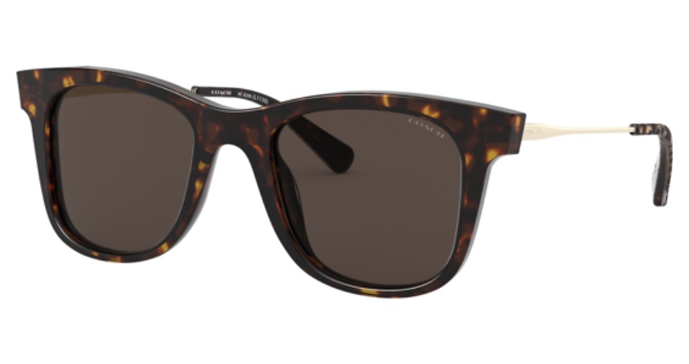 DARK TORTOISE / BROWN